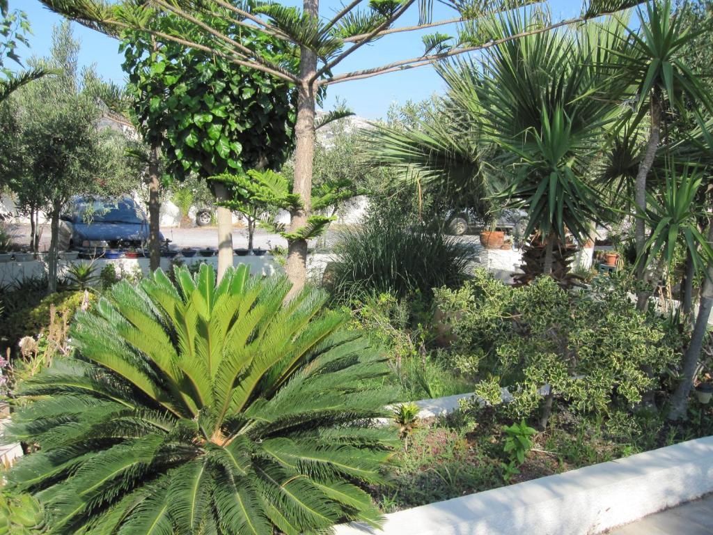 Villa Nikos Karamolegkos Kamari Dış mekan fotoğraf